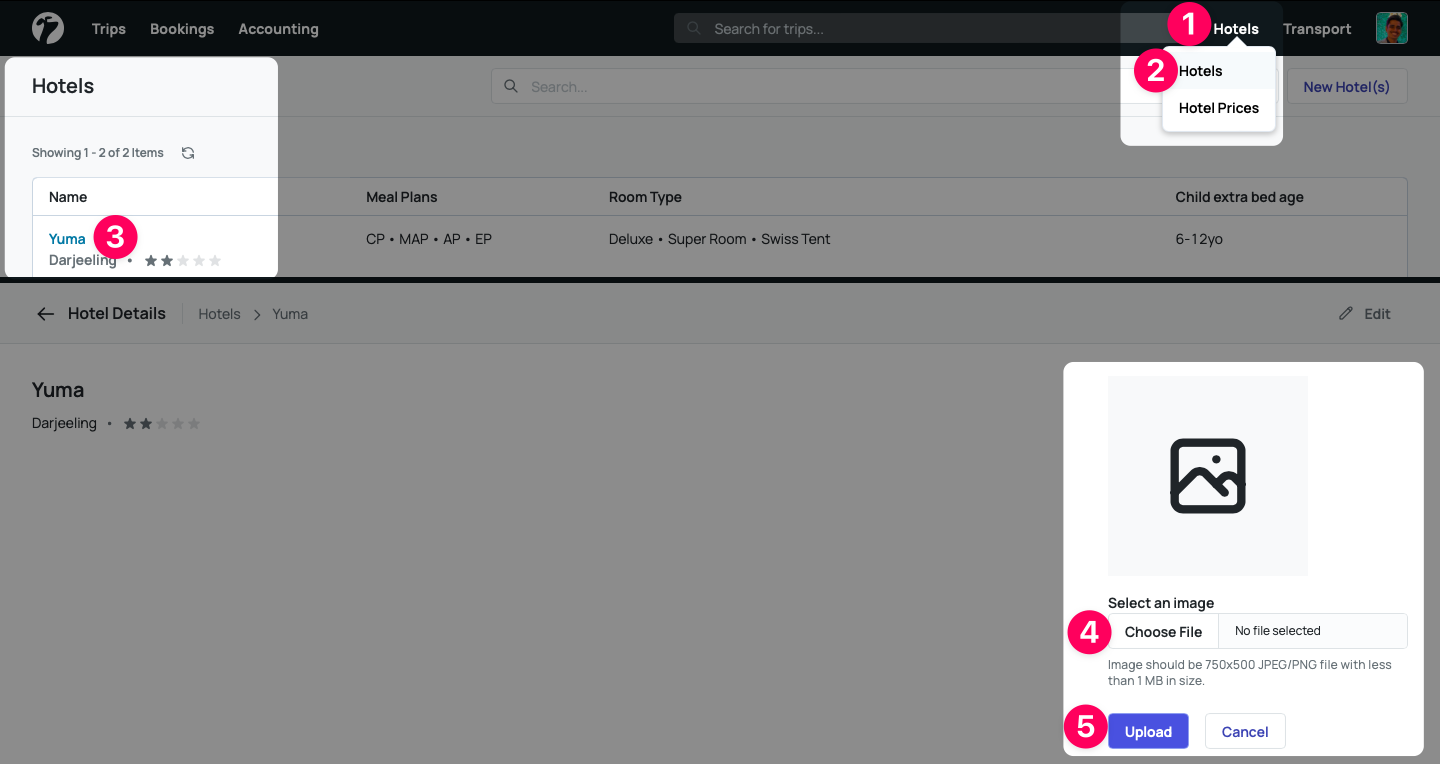 Add Images to Hotels